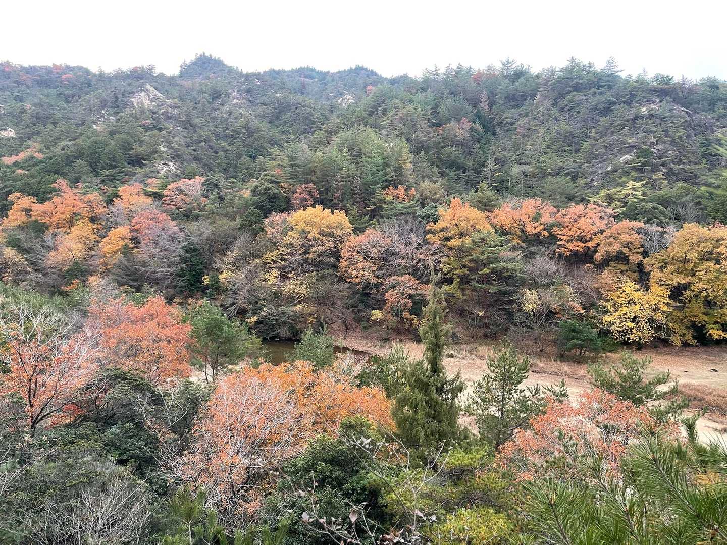 やっちぃが先頭を歩いて…さっそくルートミス💦
でも、ちょっと高いところからこの景色見れてよかった〜😁　
