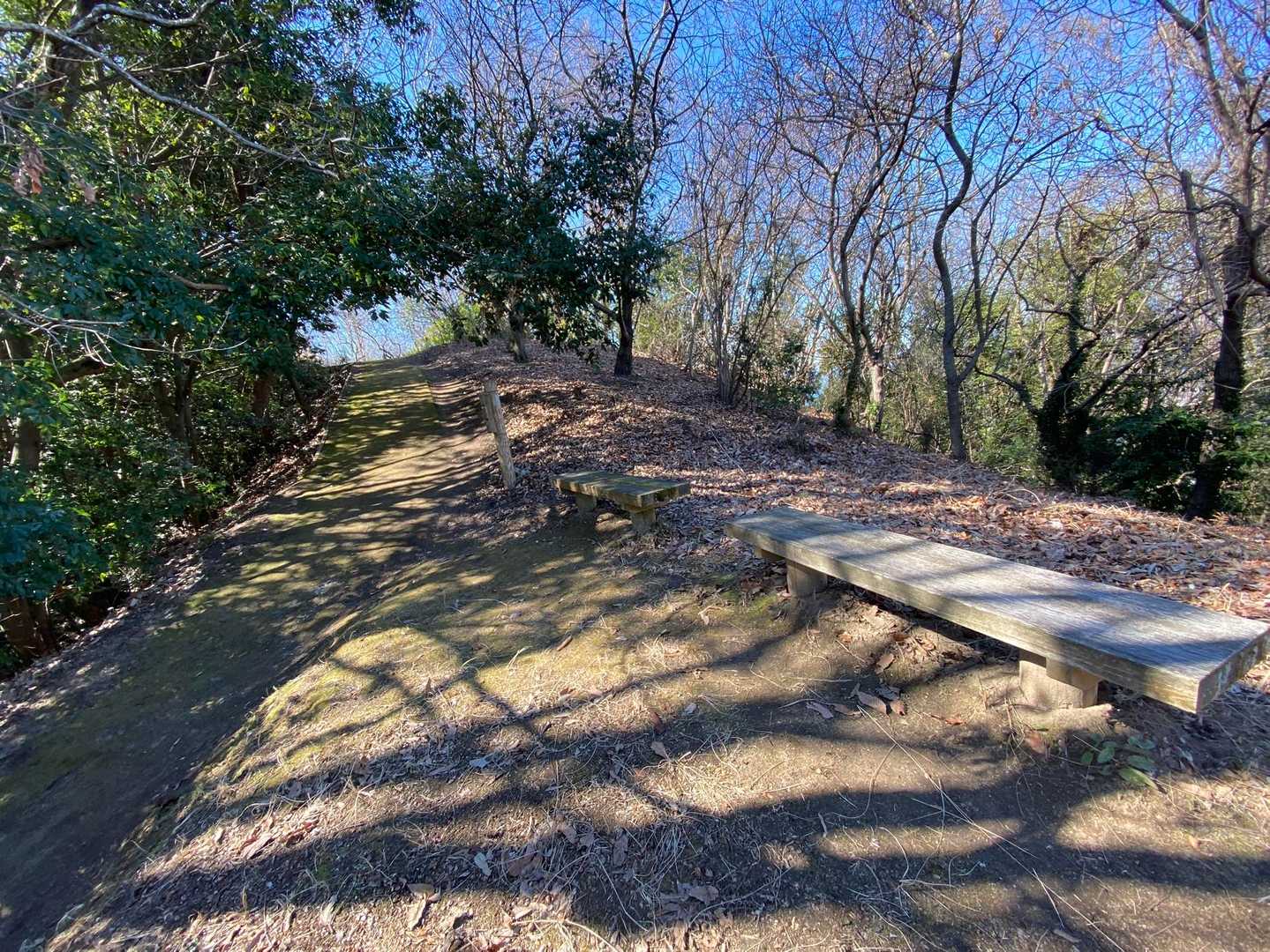 遊歩道との合流地点