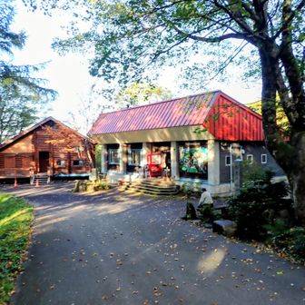つくばね森林公園に到着。管理人さん二人が待っててくれた。お客さんは俺だけとか😅
なんだか逆にごめんなさい💦
受付した後に冷えたコーラ買って飲んだ。美味かった～。