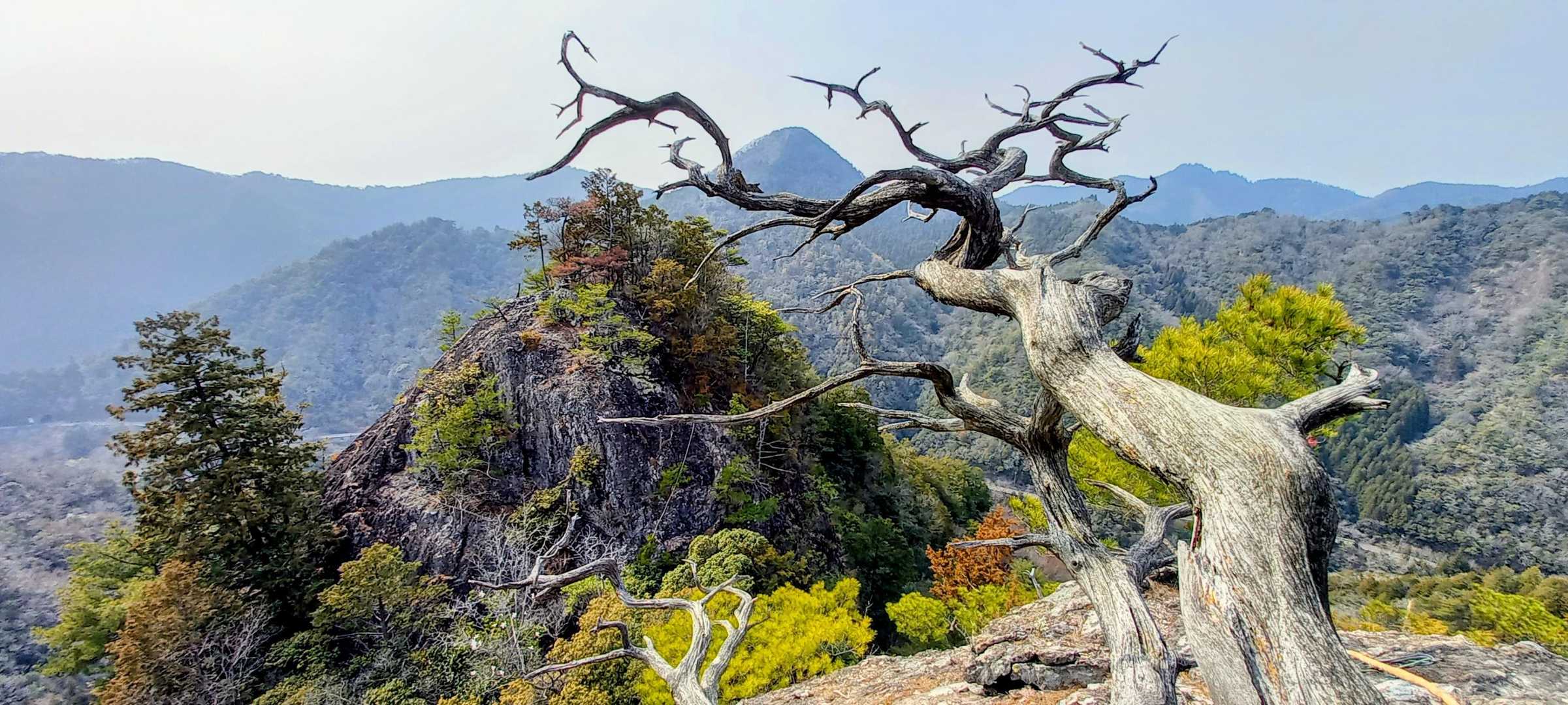荒々しい感じ〰️⛰️