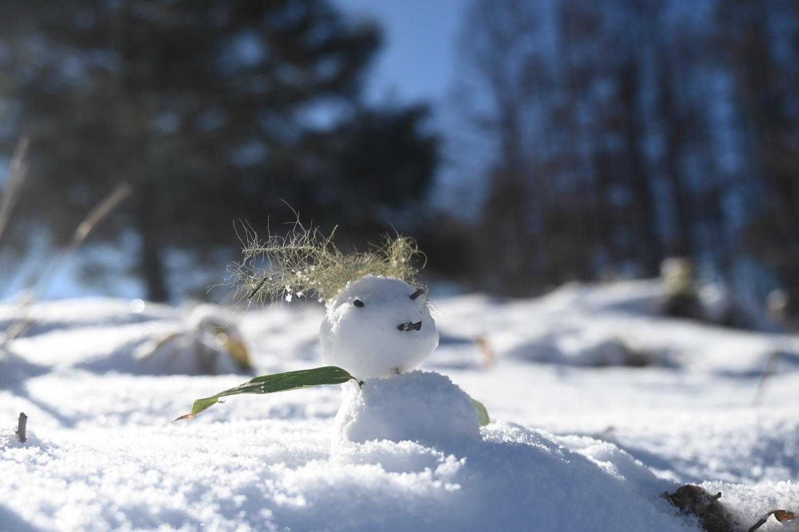 置き土産です