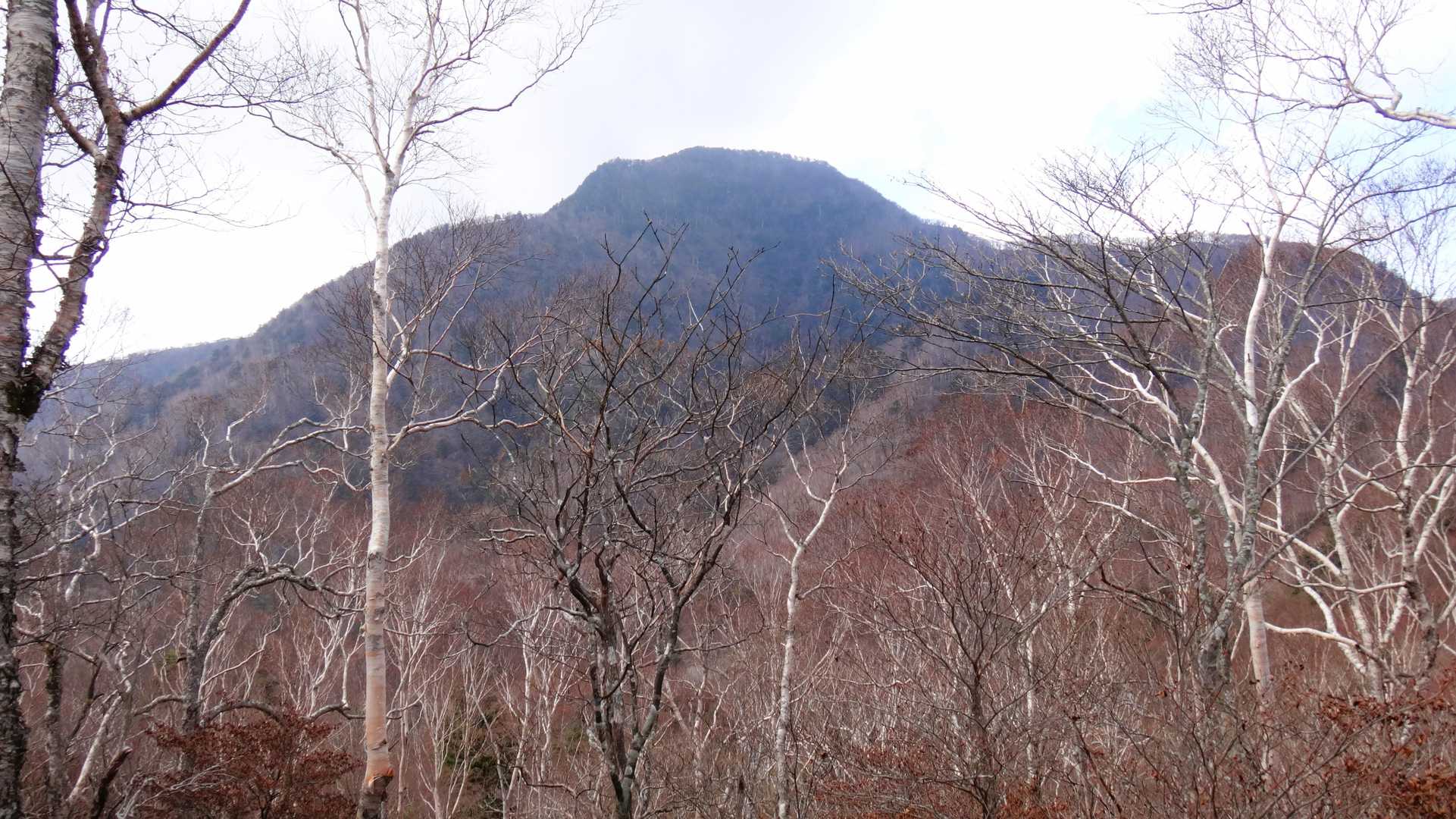 釈迦ヶ岳（高原山）往復コースの写真