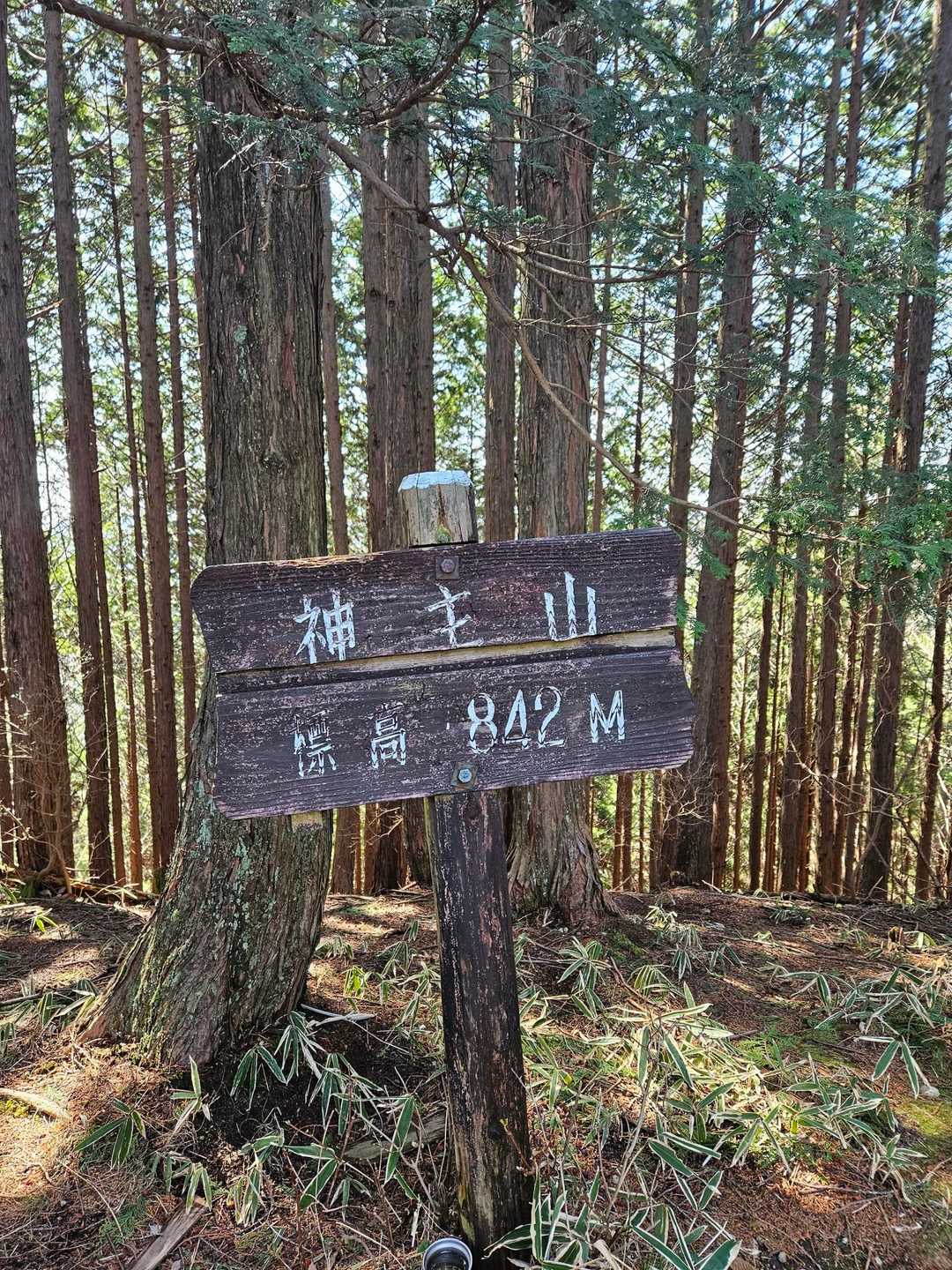 神主山  842㍍