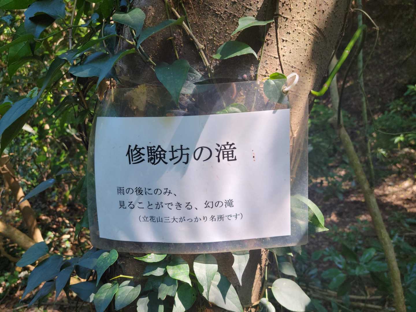 なんと❗がっかり名称　笑っ😂
あと、二つはなんなんだろう？