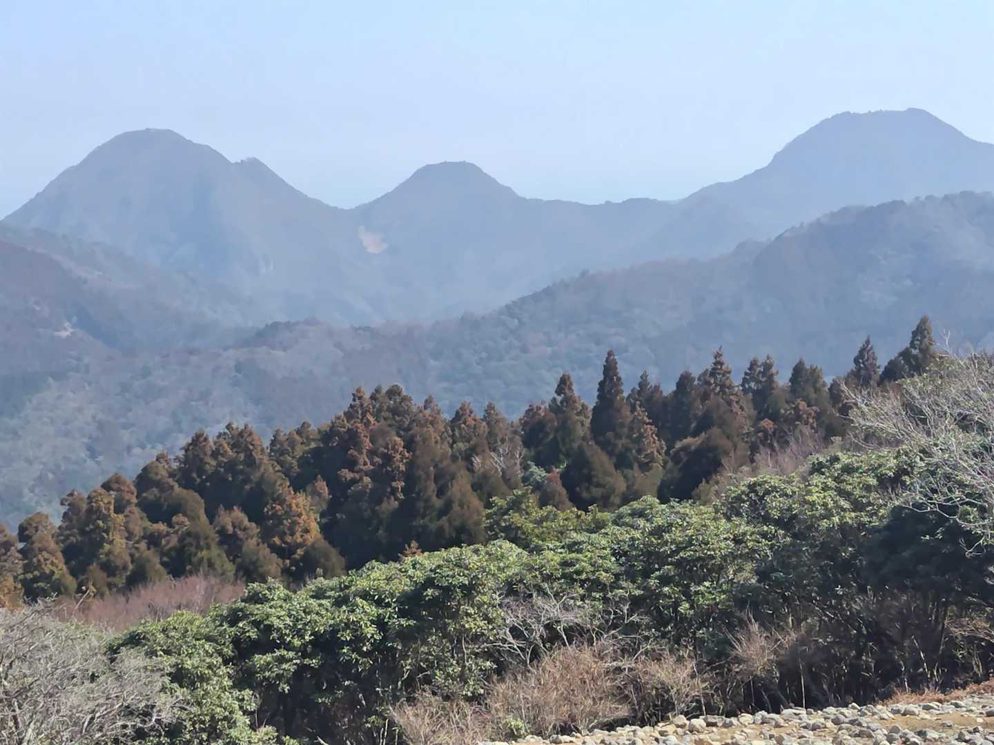 拡大