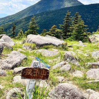双子山に登り返してきました笑
さっきまでいた蓼科山を望む笑
