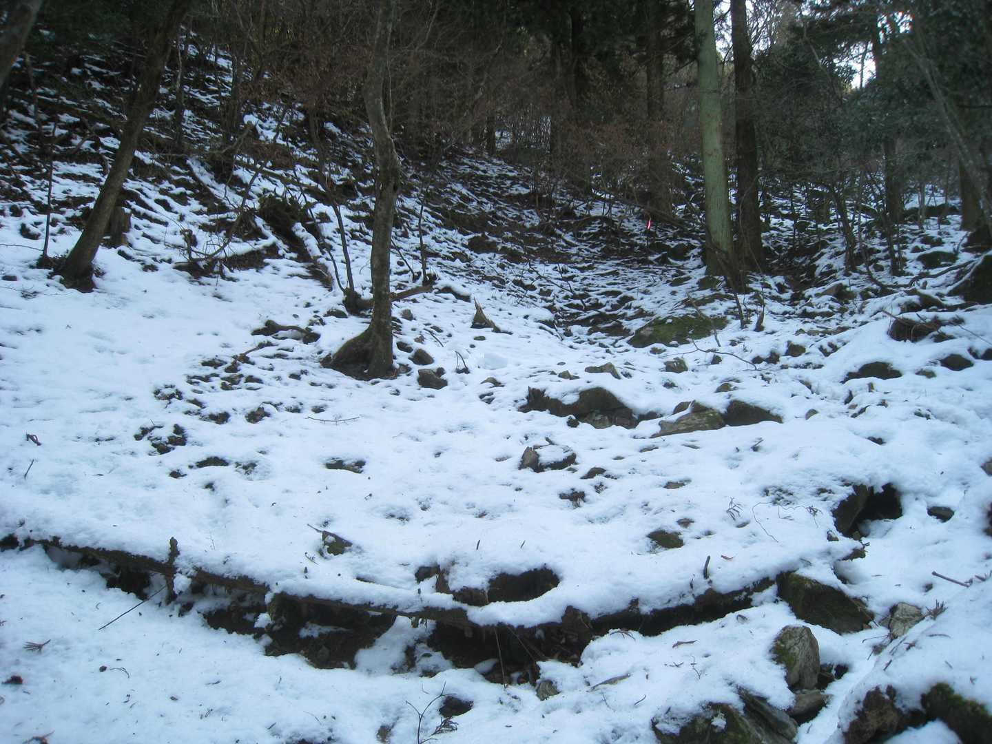 雪も増えてきたので、
早めにチェーンスパイクを装着です。