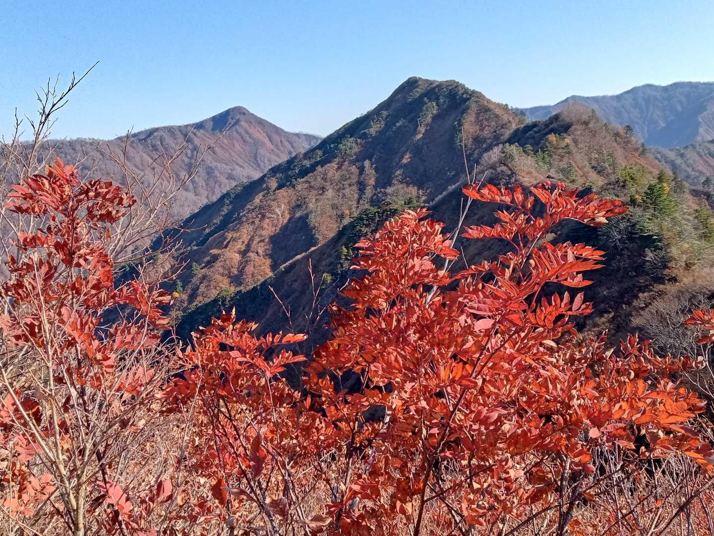 名残惜しい
左、毛無山
右、光明山