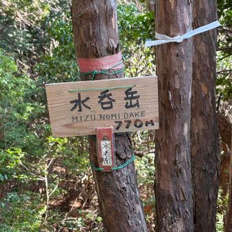 水呑岳まで下りて来ました😊