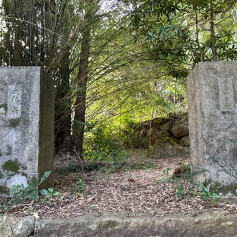 母島中学校の跡地かしら…？