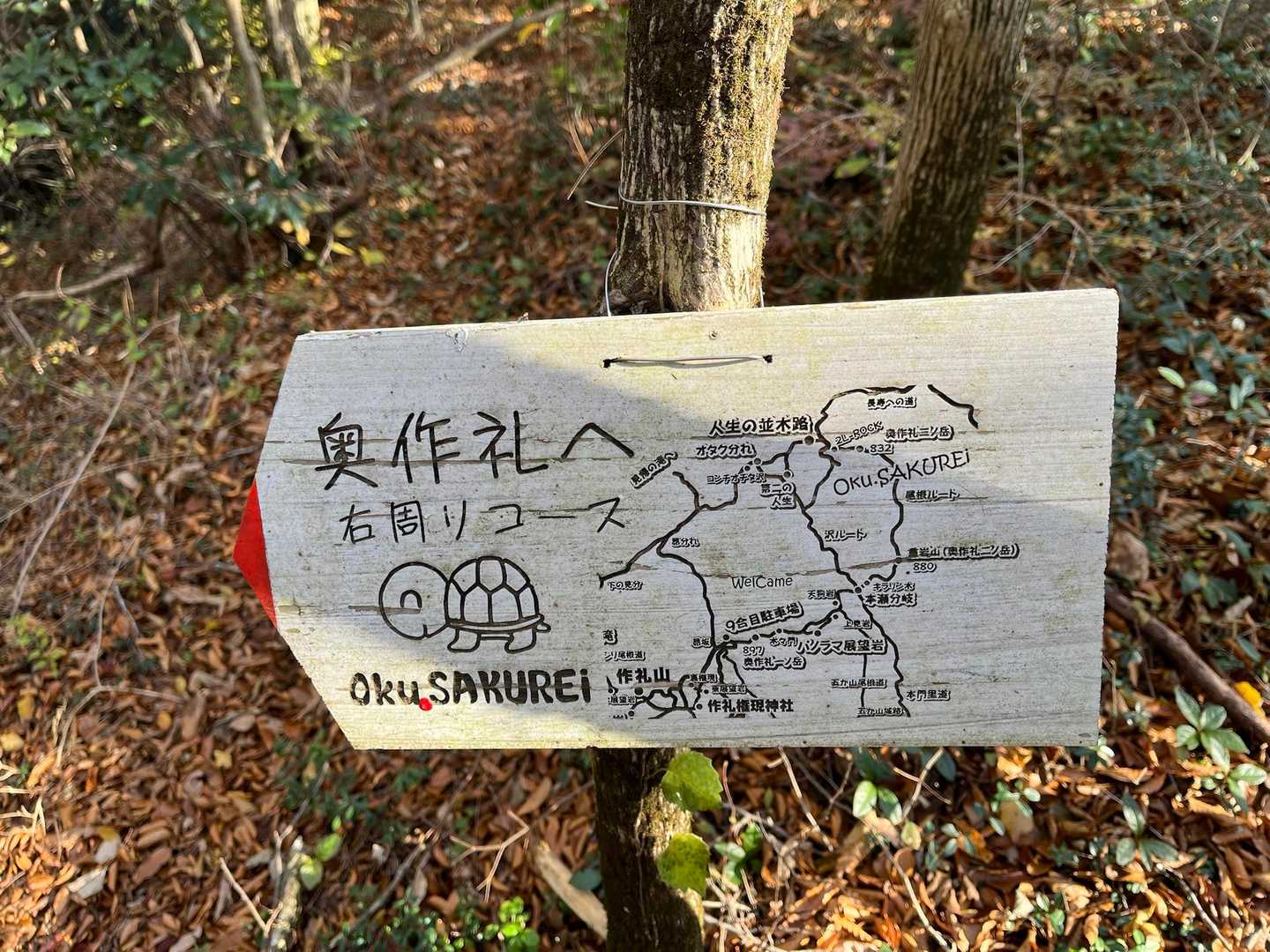 左周りコースを選びました