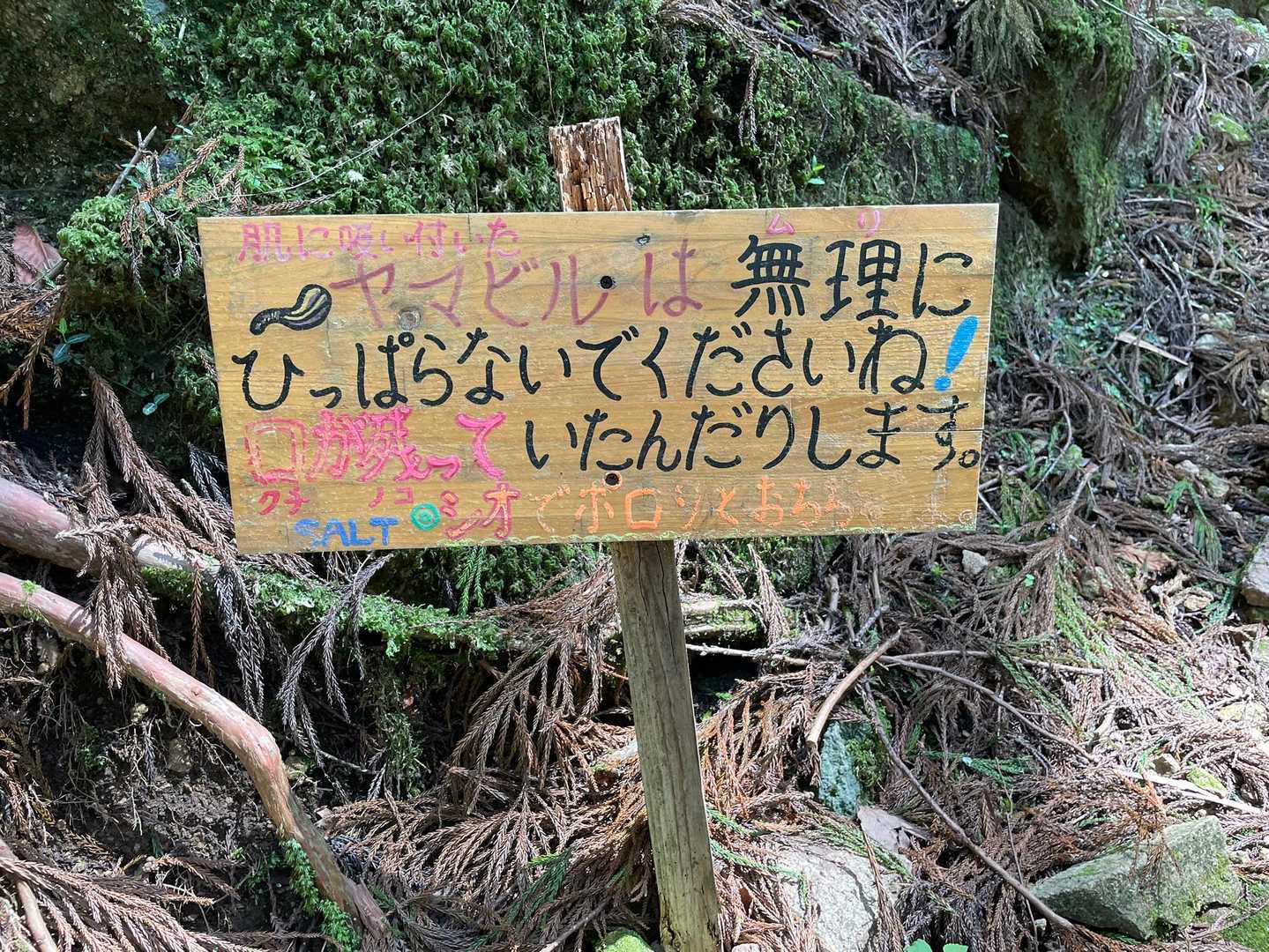 念の為、塩を持参しました。