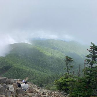 一瞬見える風景で今山の奥深いところにいるんだなあと実感できました