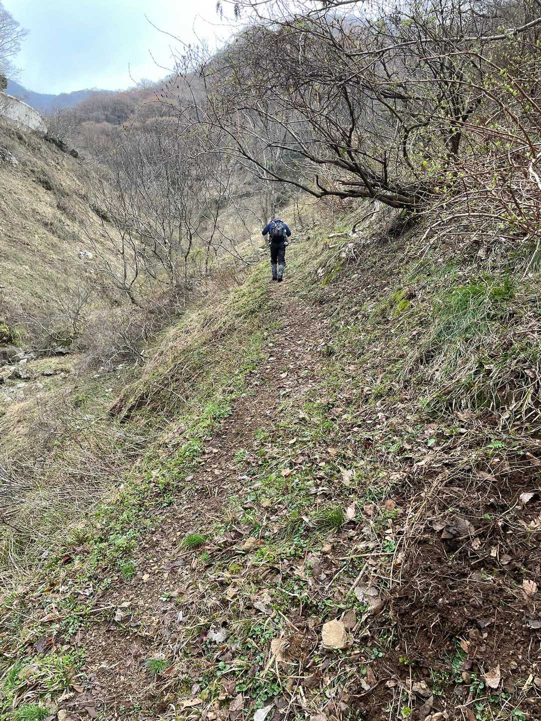 白谷登山口-横山岳-鳥越峠-エコチ谷登山口 周回コースの写真