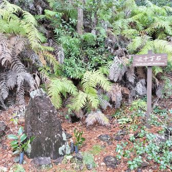 熊野古道 小辺路 三十丁石