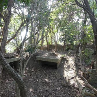 戦争遺構ですね、案内板は無し