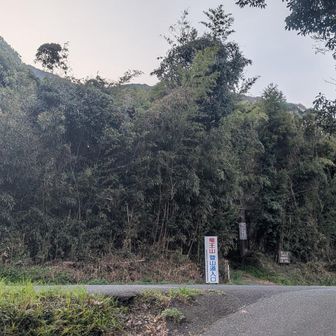 県道244号(旧農免道路)側の登山口57m