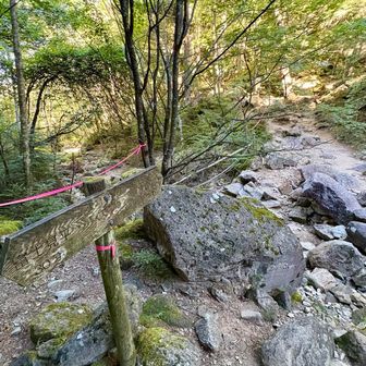 ここから山頂まで急登です🦵