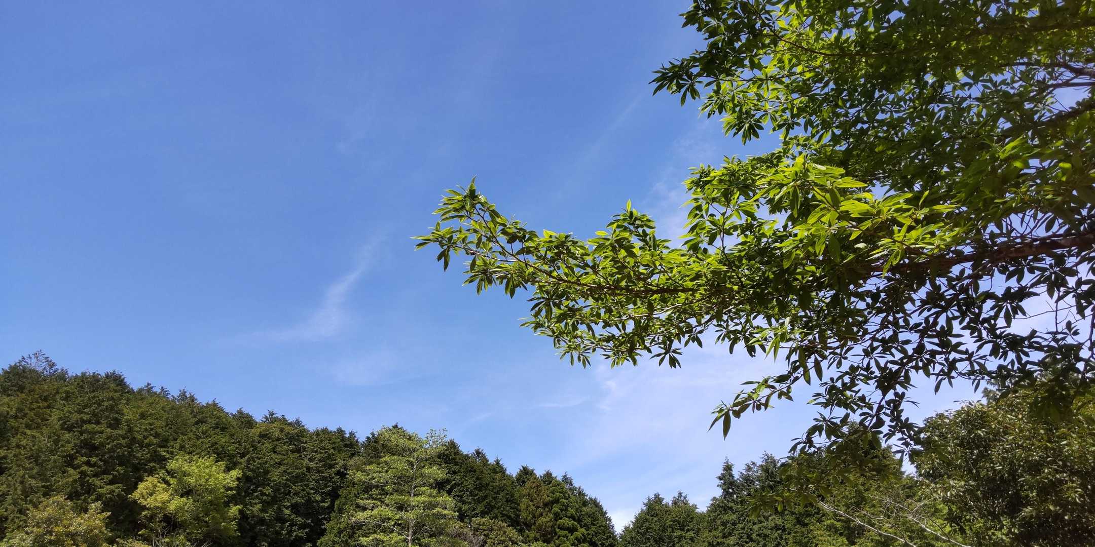 お山歩、終了！
ヤマップ軌跡もしっかりと残ってて良かった👍
