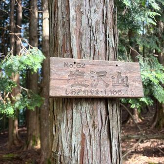 白山神社から、塩沢山の道は過酷でした