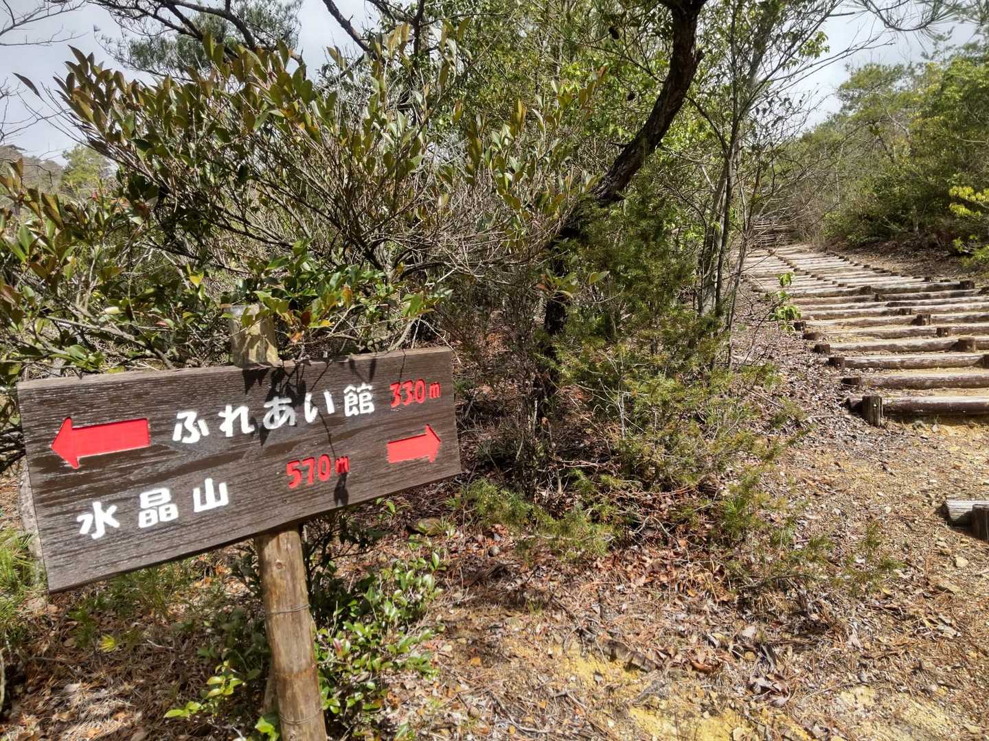 階段が多い〜けれど段差が少なくて登りやすかった✌️