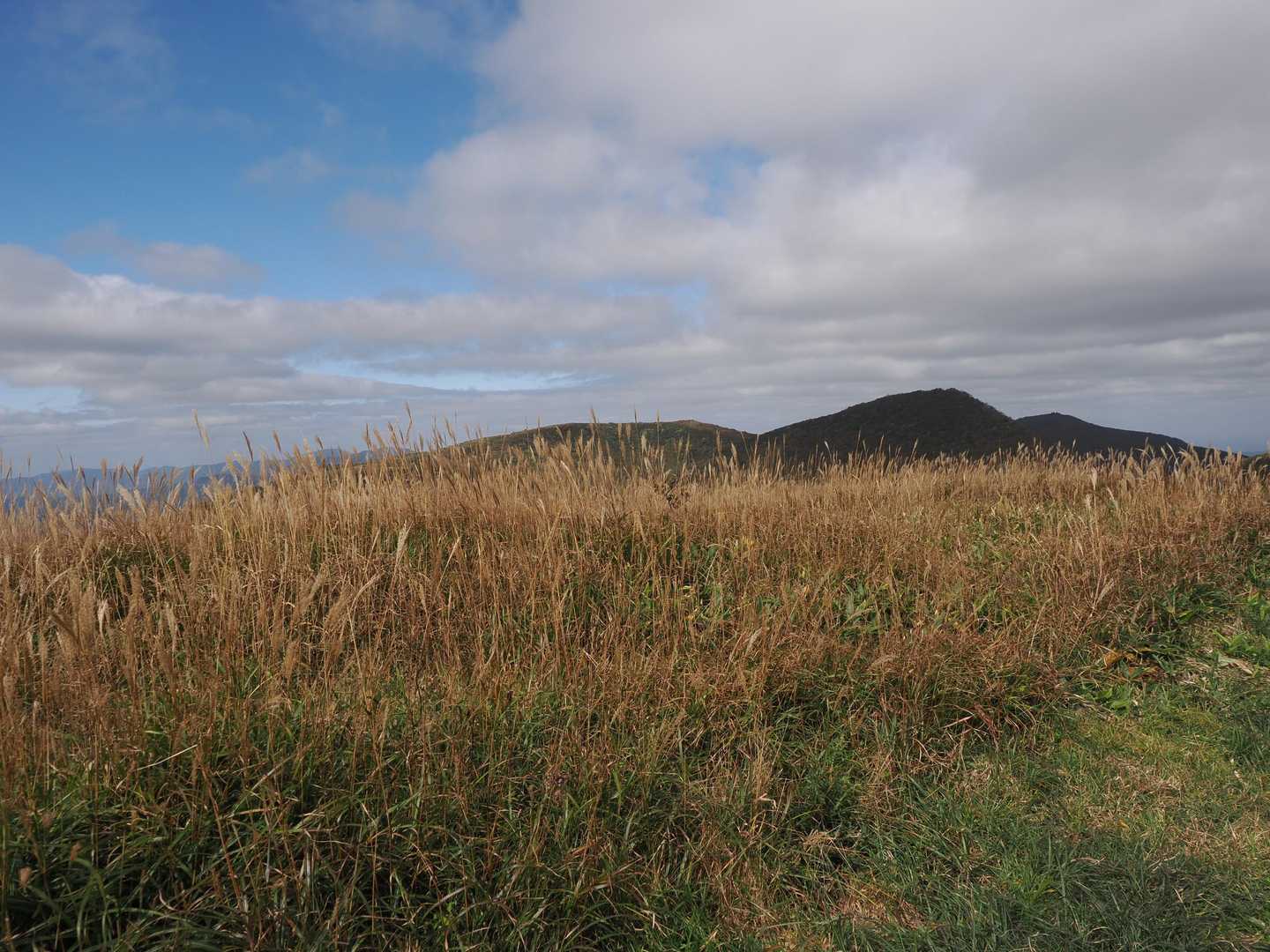 竜王山-立烏帽子山-池ノ段 往復コースの写真