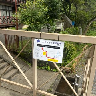 これを見るために戻ってきました