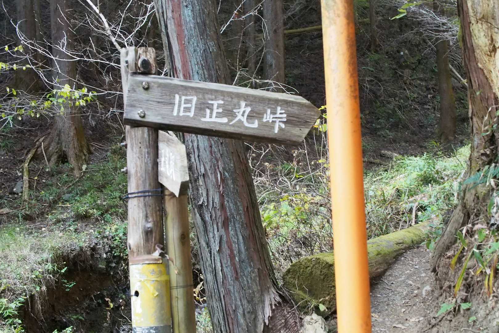 少し車道を歩いてここから沢に下ります