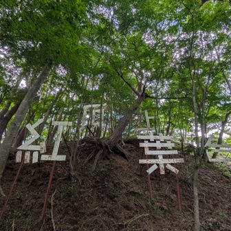 頂上
紅葉台
とあります😄
