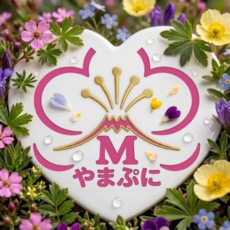 やまぷに