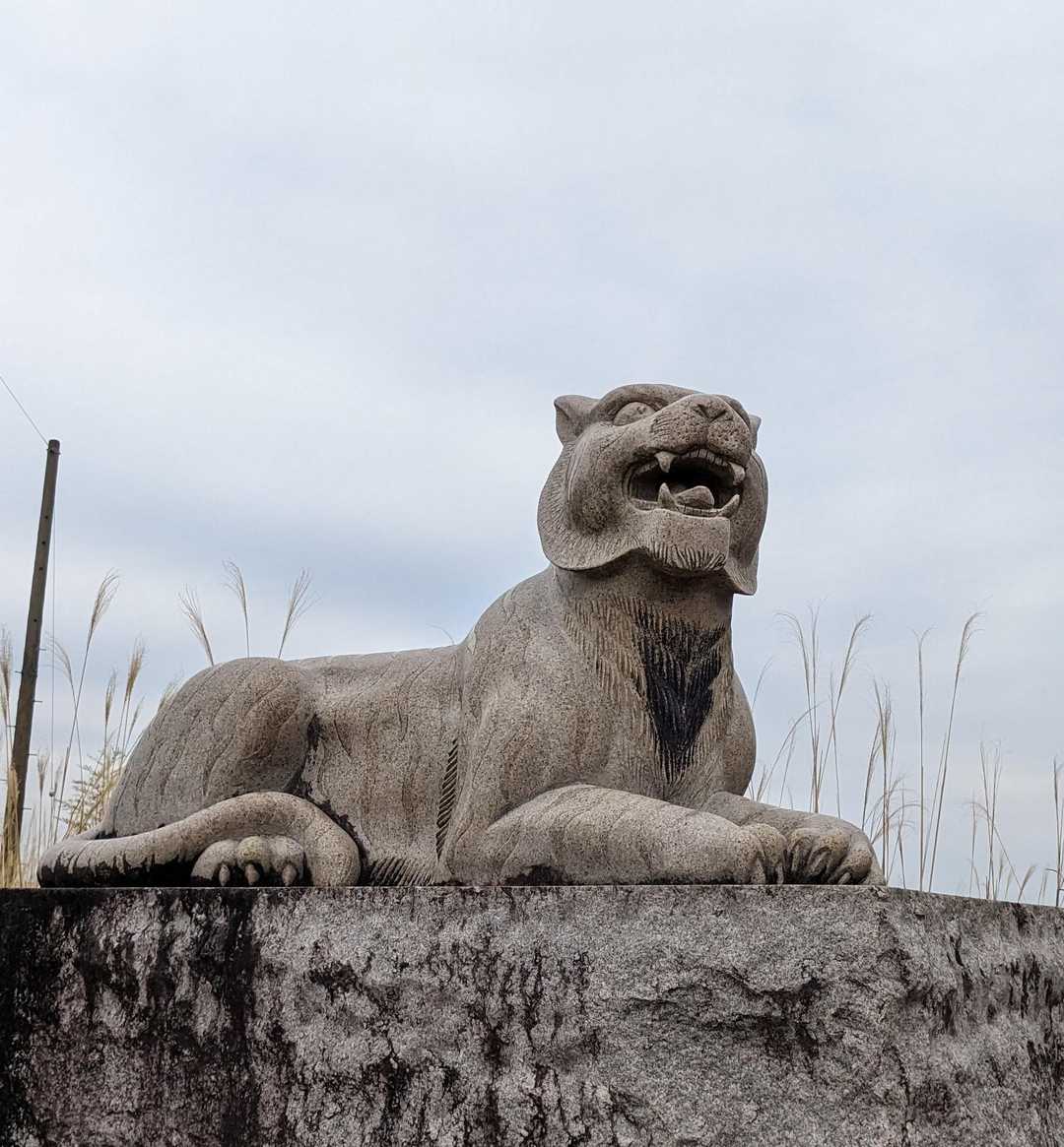 🐯