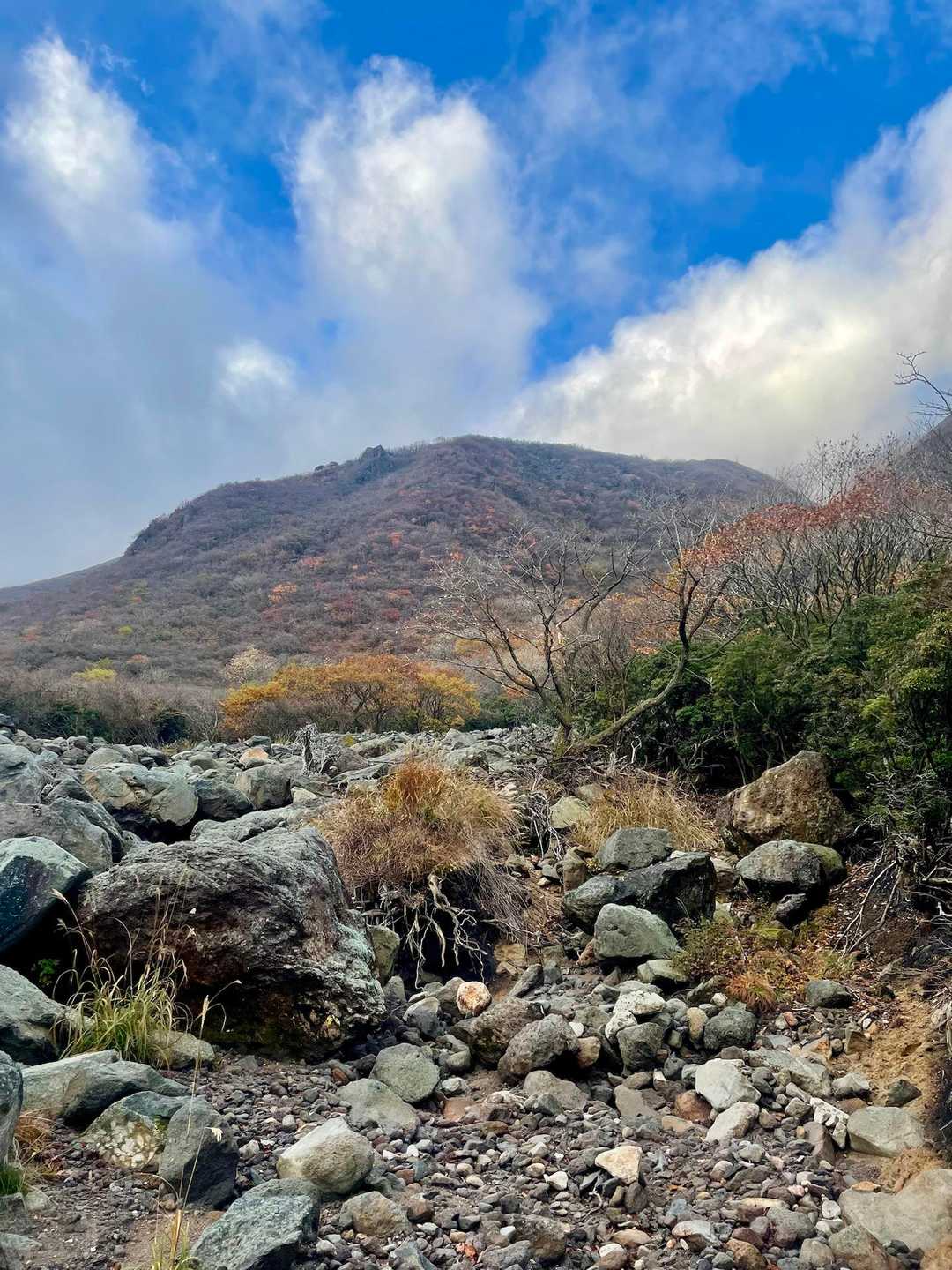鉾立峠-立中山 往復コースの写真