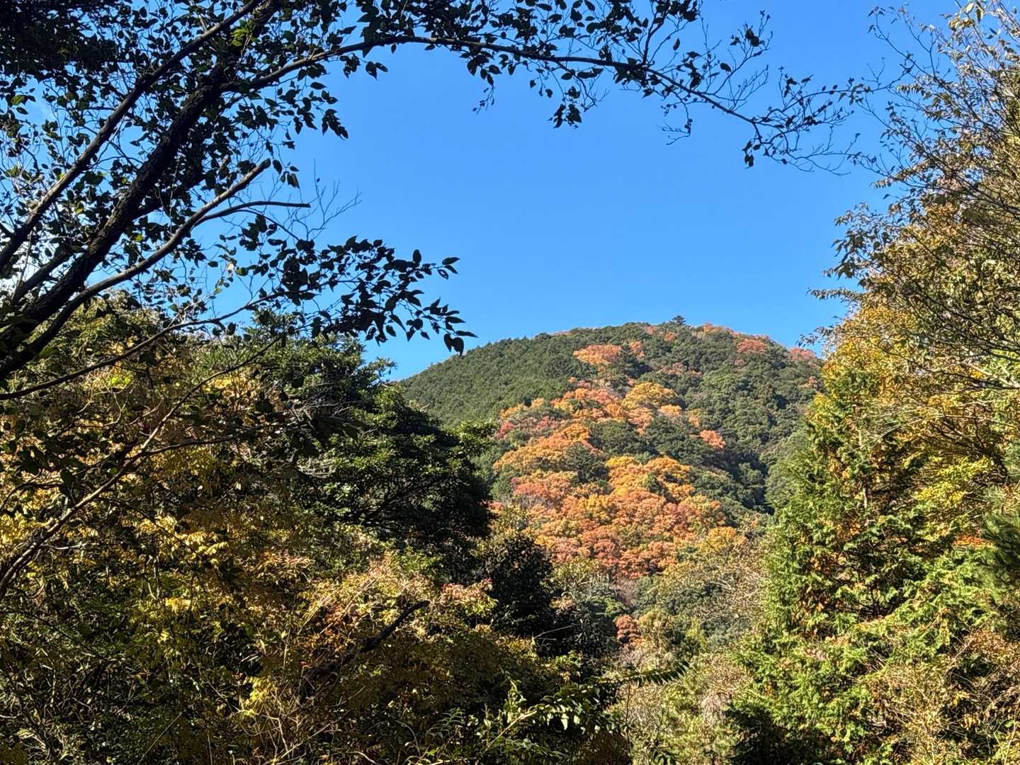 尾高観音-尾高山 周回コースの写真