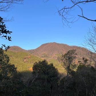 麻呂子山付近から二上山が見えました⛰️⛰️
