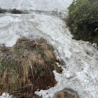 芦別岳の残雪を歩けて、嬉しい😆