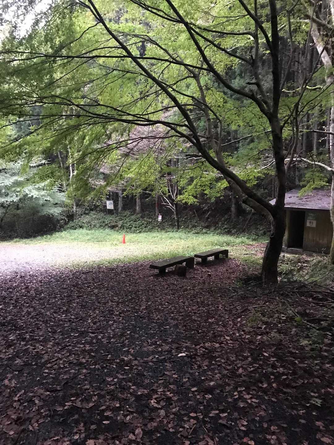 竪破山登山道入口-黒前神社二の鳥居-竪破山登山口-黒前神社 周回コースの写真