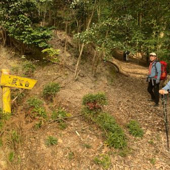 鴾ヶ堂城跡(展望台)へ