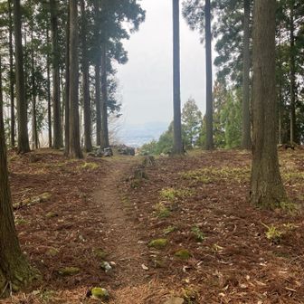 ここまでが本日の探検エリア。
振り返って本丸のところへ戻ります。
ちなみに、山頂部のお城のエリアはY字形に広がってます。