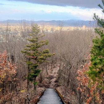 空に立ち込める⛅️が気になるが
🌧️は降らないだろうねぇ😨