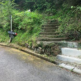 トンネルの北側からの登り口から突入。
いつもトンネルの南側から入山しているので、少し新鮮に感じます。