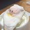 いもつと