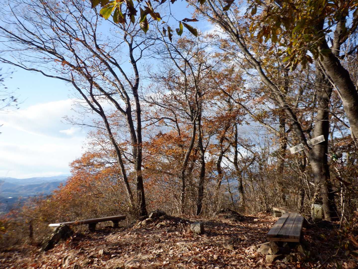 諏訪岳山頂