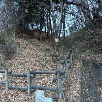 車道を歩いた後で再度入山。このコースは2回車道歩きがある
