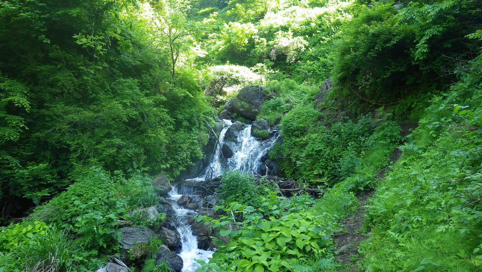 横山岳　白谷本流〜東尾根コ－スの写真