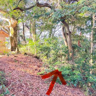 ２回目の嵩山とーちょー⛳️

祠の裏に登山道らしきものがあったのでそこから⤵︎