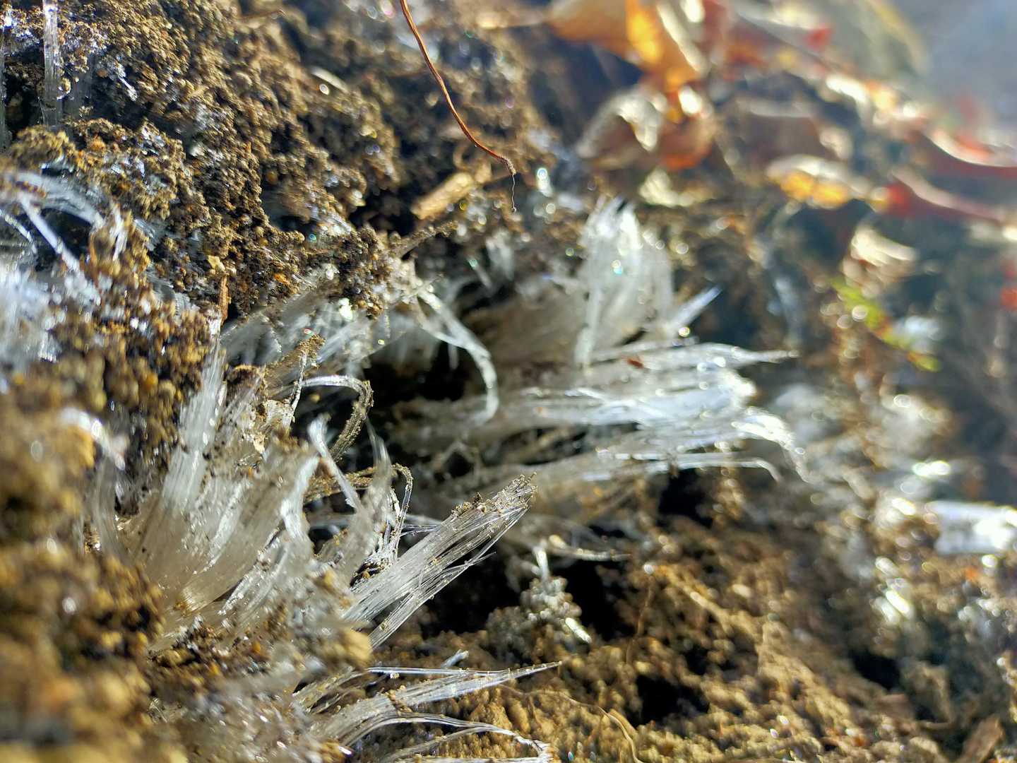 有笠山⛰️へ