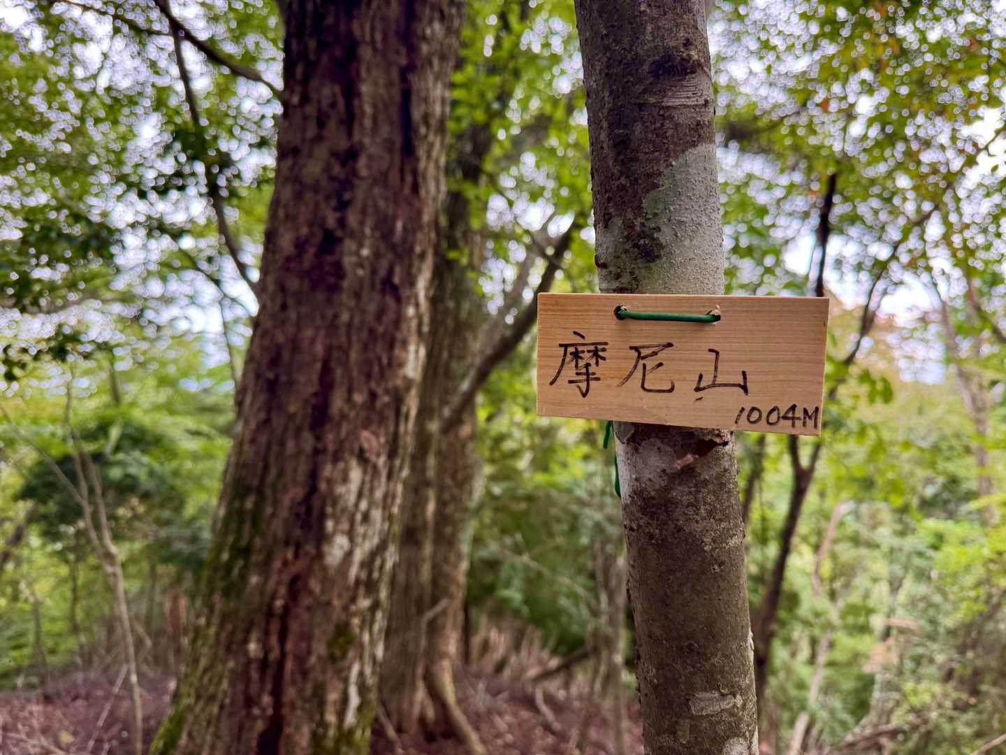 【摩尼山（まにさん）】🔺
━━━━━━━━━━━━━━━

その中で 最も有名なのが
”水掘り伝説”です

各地を巡錫（じゅんしゃく）中
水に困っている村に
立ち寄った空海が
杖や錫杖（しゃくじょう）を
地面に突き立てると

清らかな水が湧き出した
というもので >>