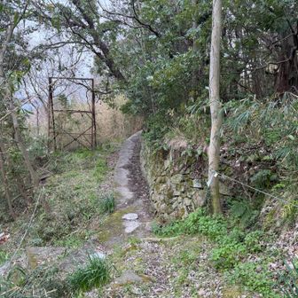 道が舗装路のようになりました。集落に突入したみたい。