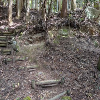 ここから階段登りでハードな道になる