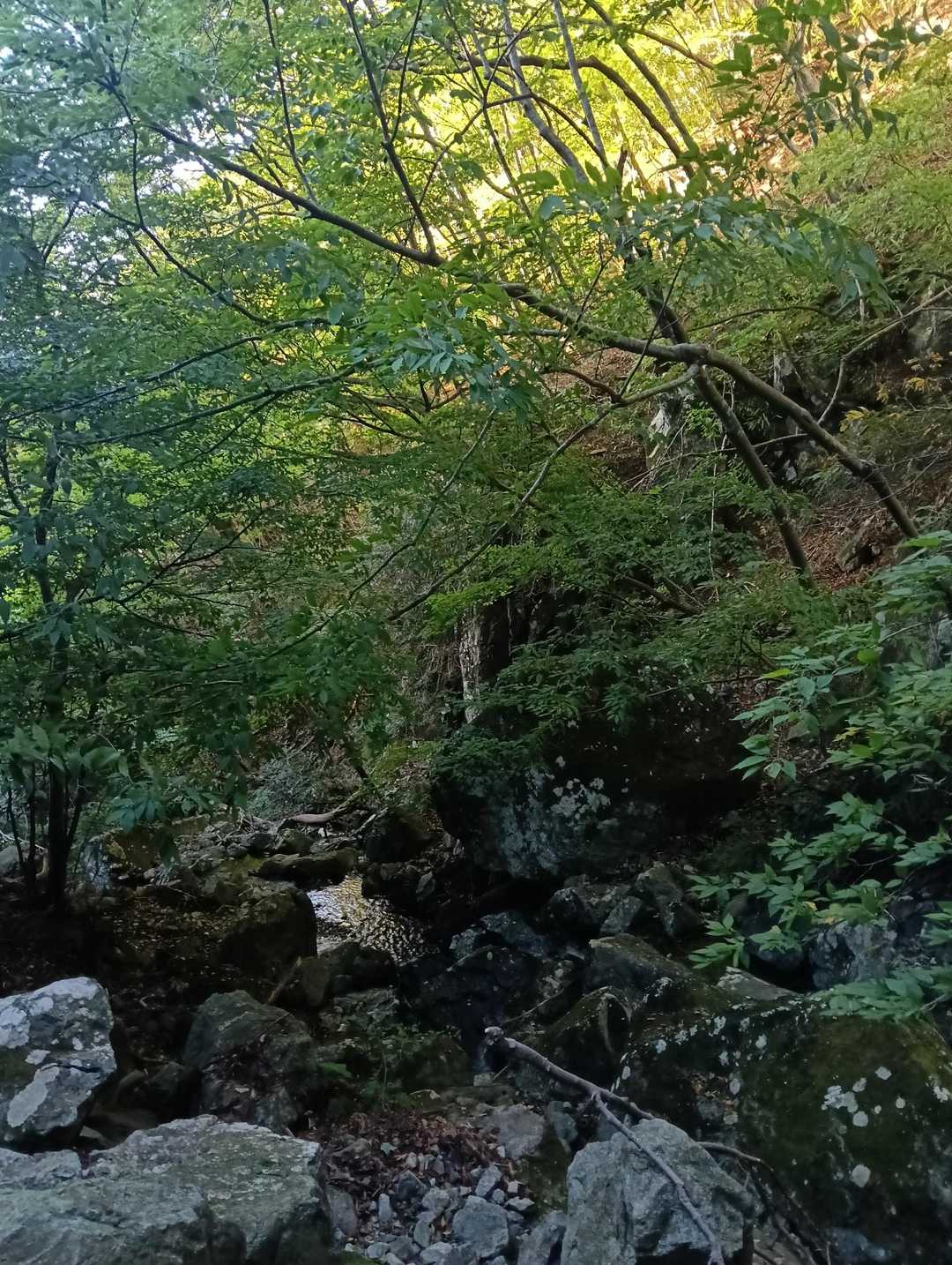 風立ちぬ‥